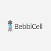 Unlocking BebbiCell phone